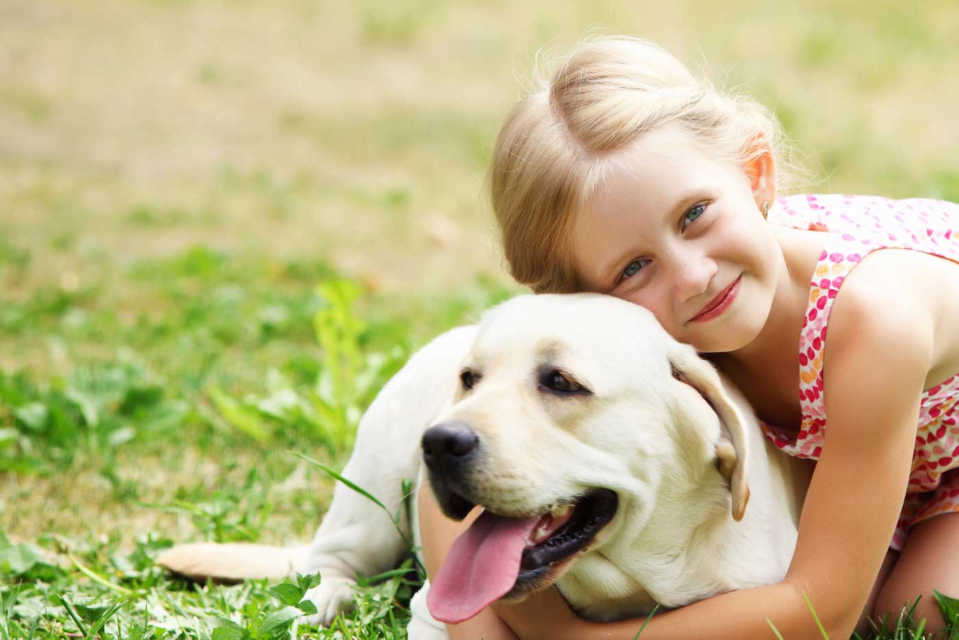 Hintergrundbild Mädchen mit Hund